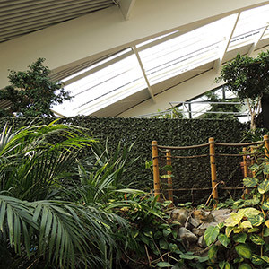 centre parks 4