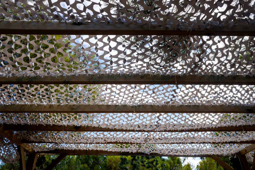 Dappled Light with Camo Netting