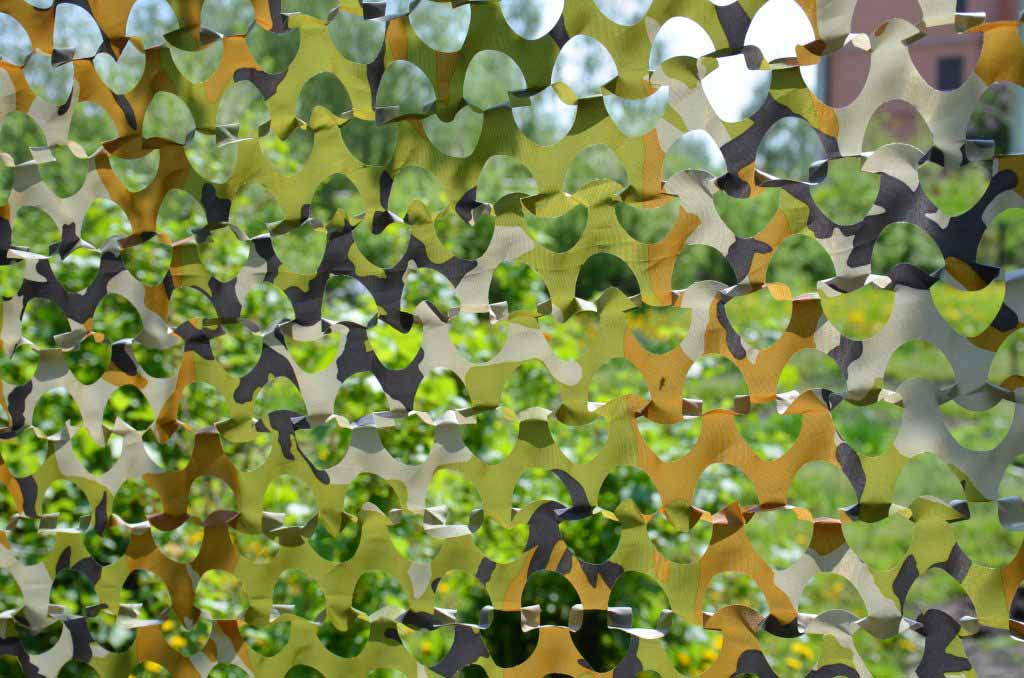 Top 5 Outdoor Privacy Screen Ideas