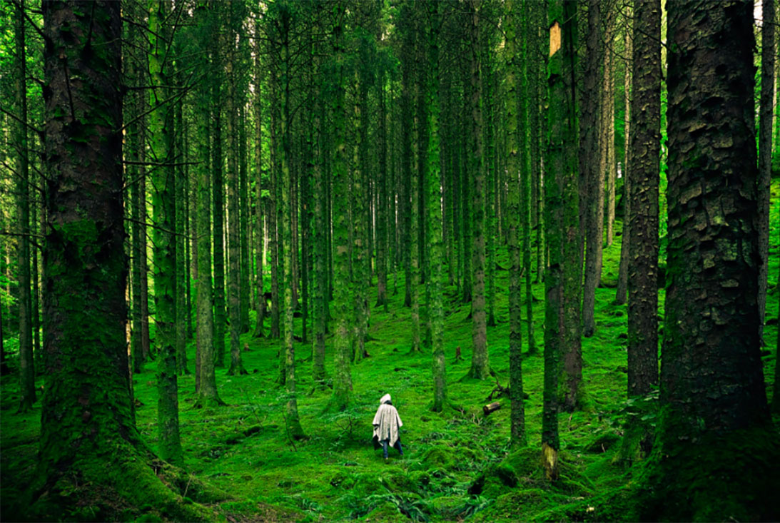 Camouflage Nets: Essential Gear for Outdoor Enthusiasts