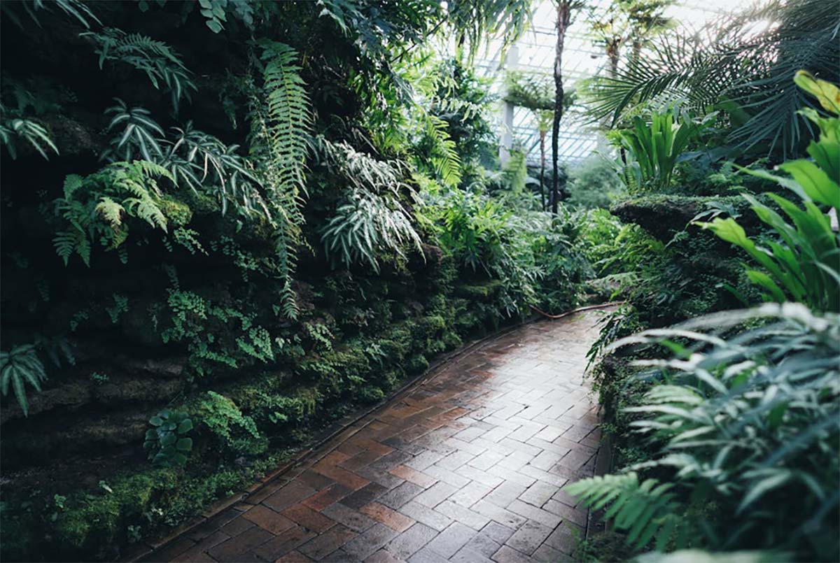 Garden with green camouflage netting